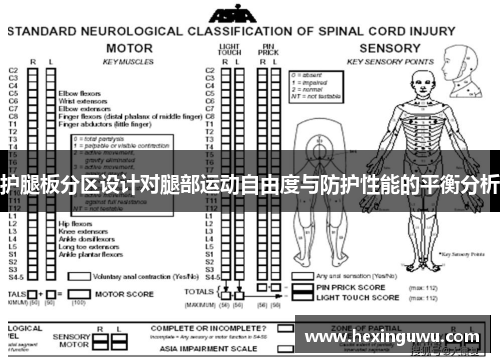 护腿板分区设计对腿部运动自由度与防护性能的平衡分析